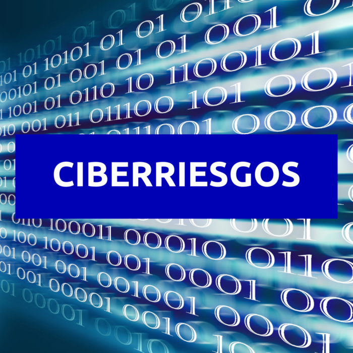Seguro de Ciberriesgos
