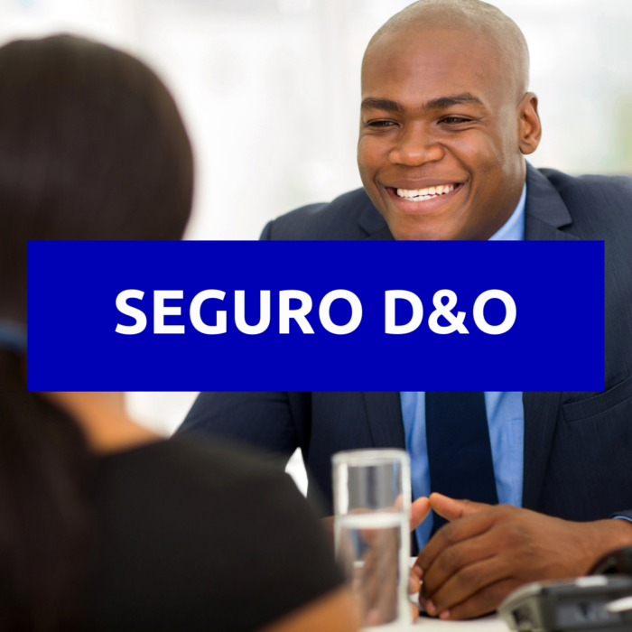 SEGURO D&O