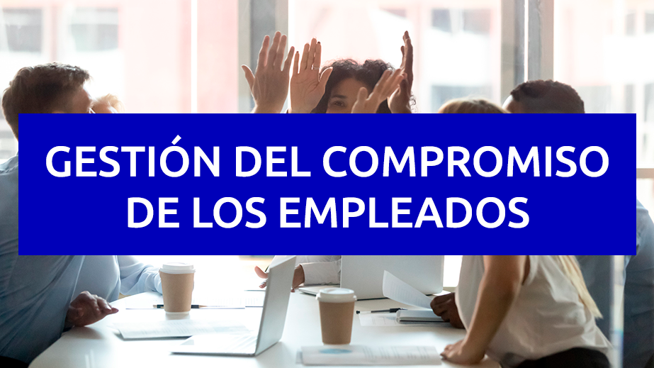 Curso de trabajo en equipo para empresas de mediación