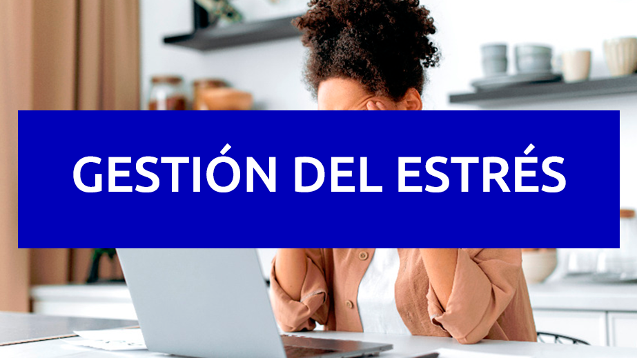 Curso de trabajo en equipo para empresas de mediación